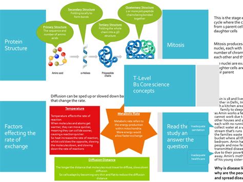 T Level Health Paper B Teacher Bundle Teaching Resources