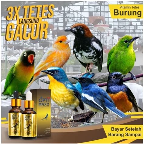 Jual OPTIMAXX VITAMIN PENGGACOR BURUNG Vitamin Burung Optimaxx