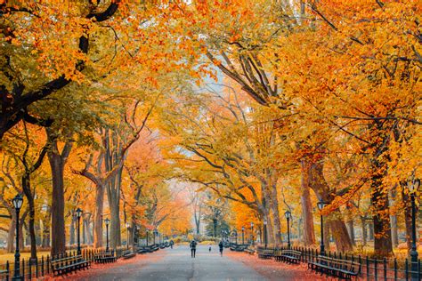 The Best Places To See Fall Foliage In Central Park
