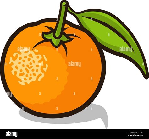 Vectores De Mandarina Vector Fotos E Im Genes De Stock Alamy