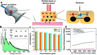 The Potential Role Of Borophene As A Radiosensitizer In Boron Neutron