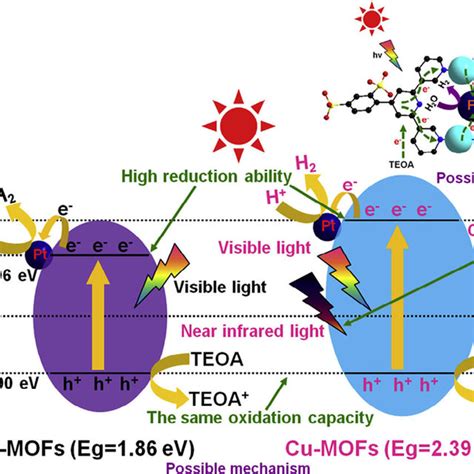 The Structure And Analysis Of Cd Tbapy A The Coordination Mode Of The