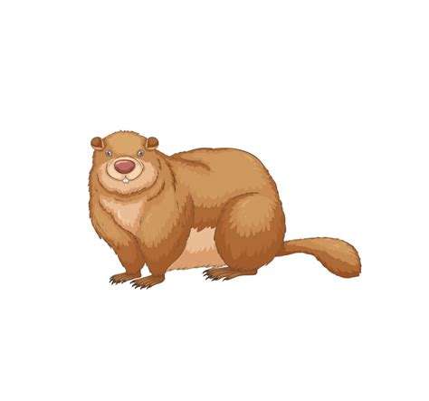 Groundhog Clipart - ClipartLib.Com