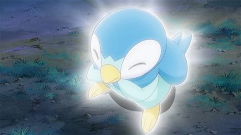 File:Dawn Piplup no evolution.png - Bulbagarden Archives