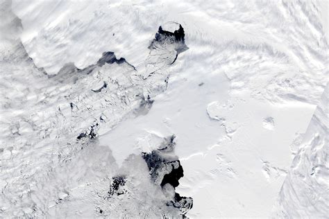 solitary dog sculptor nasa antartica major iceberg cracks  pine
