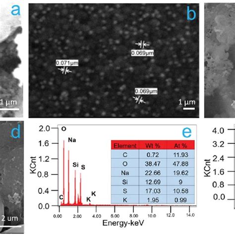 Morphological Characterization Scanning Electron Micrographs Of Rice