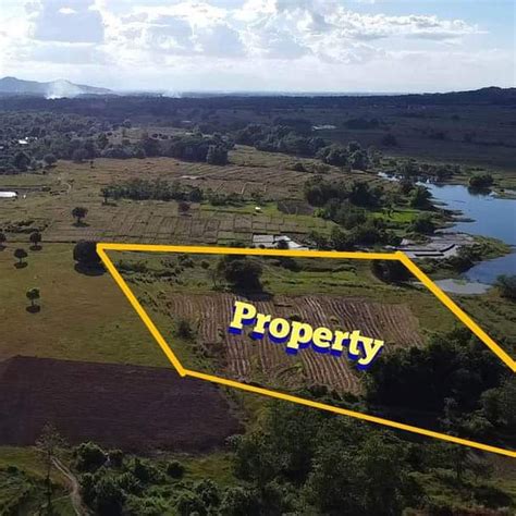 20000 Sqm Agricultural Farm For Sale In Balungao Pangasinan Lot 🚜