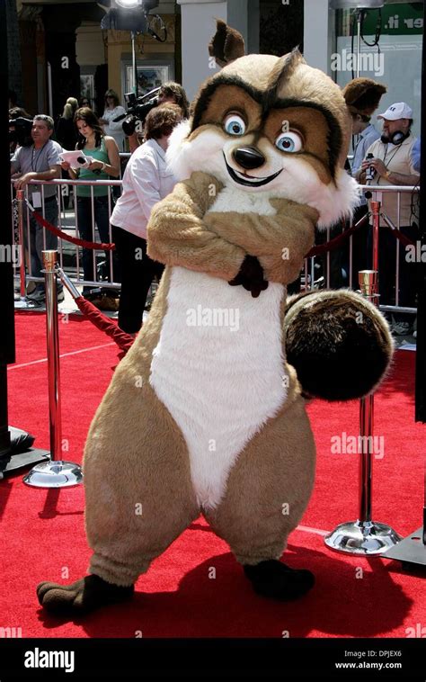 Rj raccoon over hedge premiere hi-res stock photography and images - Alamy