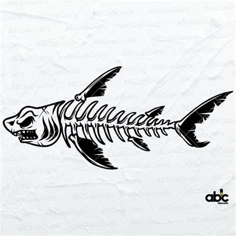 Shark Skeleton Drawing