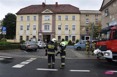 Doba Beta Stra Po Arna Na Ko Ciuszki W Pieszycach Foto