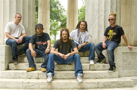 Soja Stars And Stripes