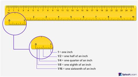 What Is Ruler Definition Types Examples Facts 45 Off