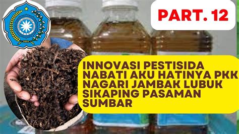 Pestisida Nabati Innovasi Aku Hatinya Pkk Nagari Jambak Kec Lbsikaping