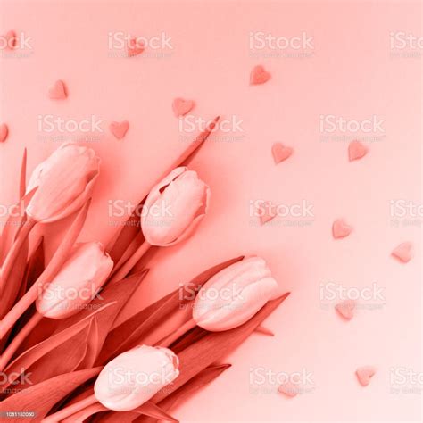 Pink Tulips With Pink Heart Sprinkles On The Pink Background Flat Lay Top View Valentines