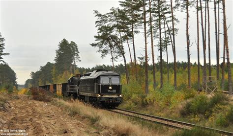 BR232 781 TEM2 065 Dolata WRP World Rail Photo