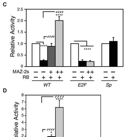 Maz Proteins Activate The Myb Promoter Through The E2f Maz Binding