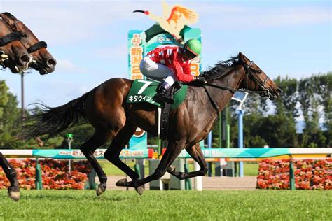 【新潟2歳s】連闘のキタウイングが快勝 横一線の追い比べを内から抜け出す サンスポzbat