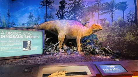 See The Theiophytalia Kerri Dinosaur At Garden Of The Gods