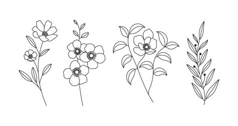 Vector Set Of Line Drawing Abstract Flowers 7048425 Vector Art At Vecteezy