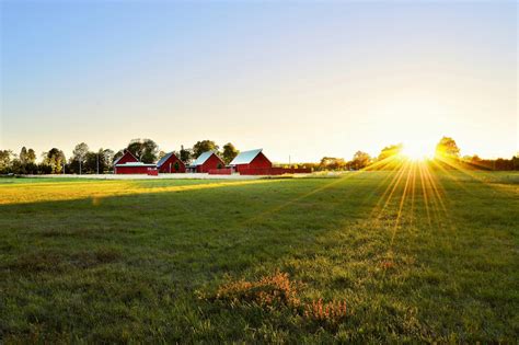 300+ Farm Pictures · Pexels · Free Stock Photos