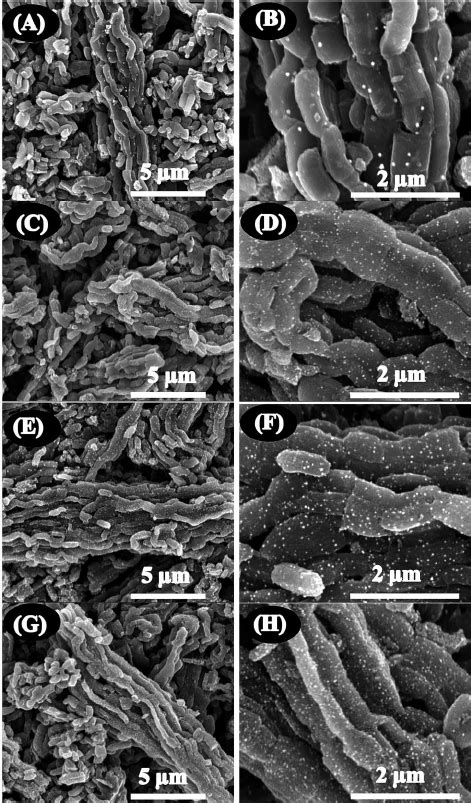 Hrsem Images At Two Di Ff Erent Magni Fi Cations Of A And B Cmk