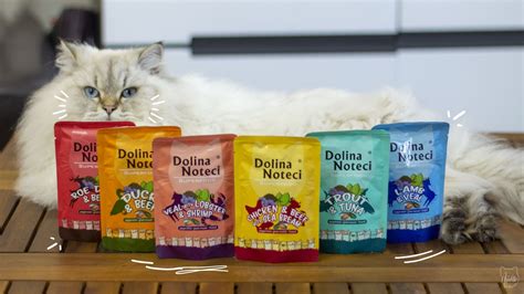 Zdrowe i skuteczne sposoby na odkłaczanie kota » Apollo Fluffy Cat ...