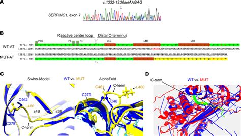 Comparative Analysis Of In Silico Predictions And Molecular Dynamics