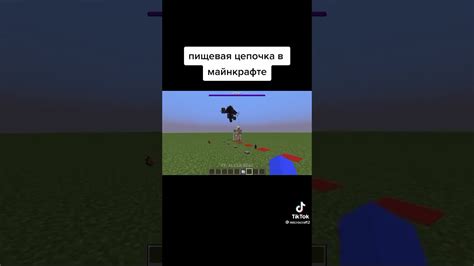пищевая цепь в Майнкрафте - YouTube