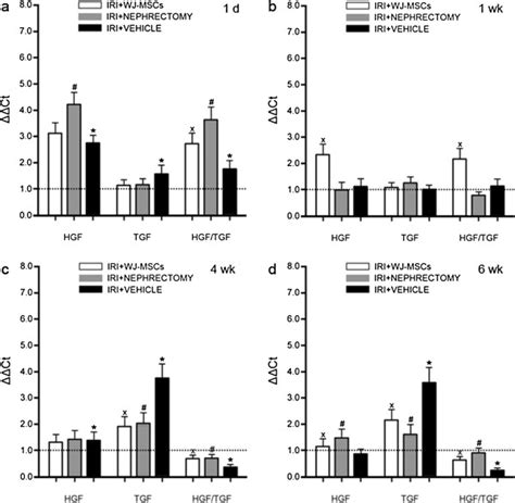 Hepatocyte Growth Factor Hgf Or Transforming Growth Factor Tgf β1 Download Scientific