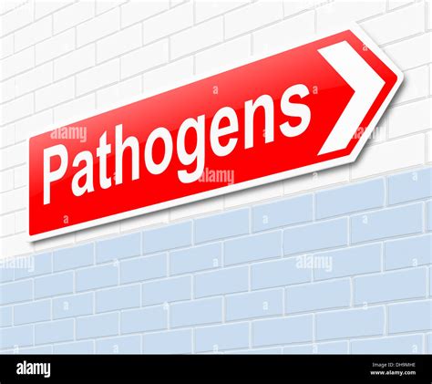 Microscopic Pathogens Hi Res Stock Photography And Images Alamy