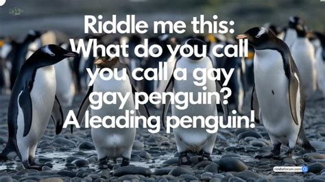 100 Best Gay Riddles For Adults Seeking A Laugh