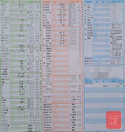 【2023年5月】在宅血液透析外来報告（血液検査結果等） 腎生を善く生きる~在宅血液透析患者のリアル~