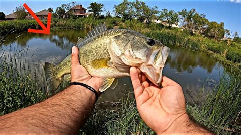 Pond Hopping For Bass In FortWorth Texas YouTube