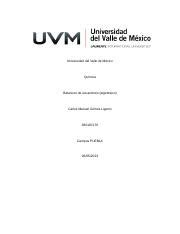 Tarea 4p2 docx el Vallea9 Meéxico UVM LAUREATE Universidad