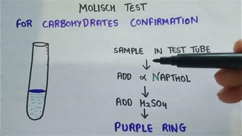 Molisch Test For Carbohydrates Test For Identification Of