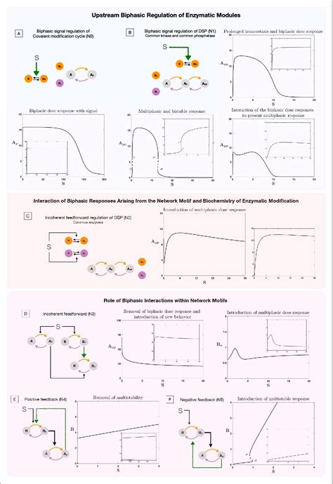 Figure 3 From A Unified Approach To Dissecting Biphasic Responses In