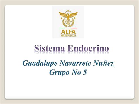 SISTEMA ENDOCRINO Lupita Guadalupe Navarrete UDocz