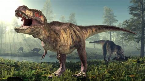 El mayor mito sobre el T rex puede ser falso sus pequeños brazos sí