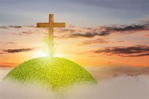 Premium Photo Palm Sunday