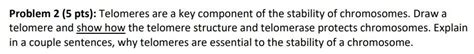 Solved Problem 2 (5 pts): Telomeres are a key component of | Chegg.com 