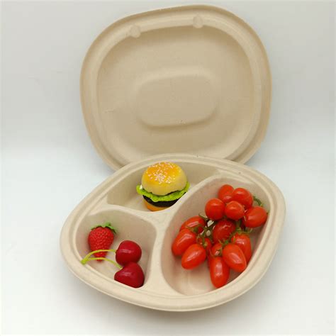 Disposable Biodegradable Sugarcane Pulp Three Compartment Tray