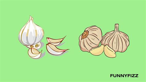 50 Garlic Puns