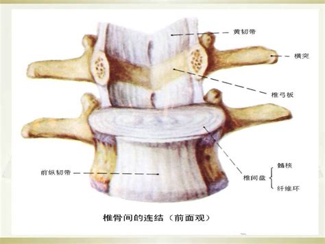 颈椎病的影像学诊断及临床分型汇总