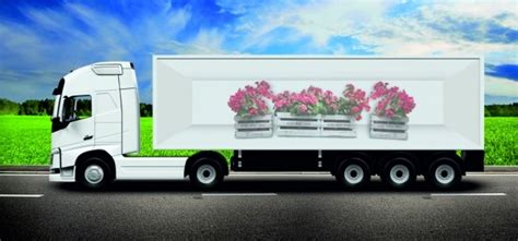 » Перевозка цветов из Европы: в чем особенности?
