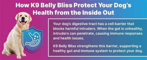 Pup Labs K9 Belly Bliss All Natural Gut Health For Dogs