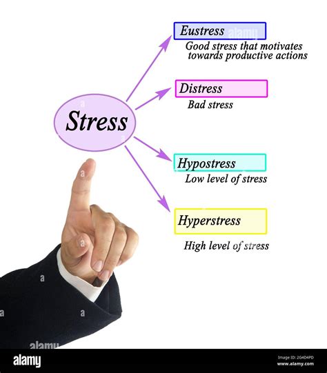 Two Types Of Stress