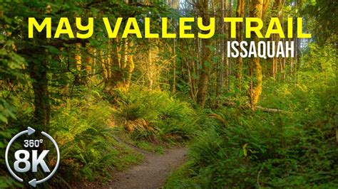 Virtual Forest Hike Explore May Valley Loop Trail Issaquah In