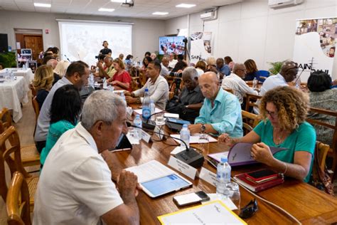 Le Conseil Municipal Suivre En Direct Ville De Saint Paul