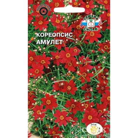 Кореопсис Амулет карликовый красильный Седек в Санкт-Петербурге