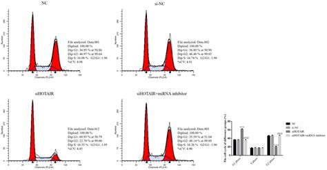 Sgc‐7901 Cell Cycle Of Different Groups By Flow Cytometry Nc Normal